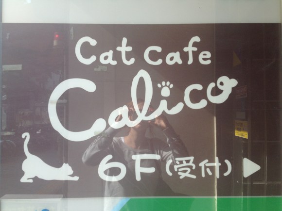Did, in fact, turn out to be a cafe full of cats & not the other kind of pussy...